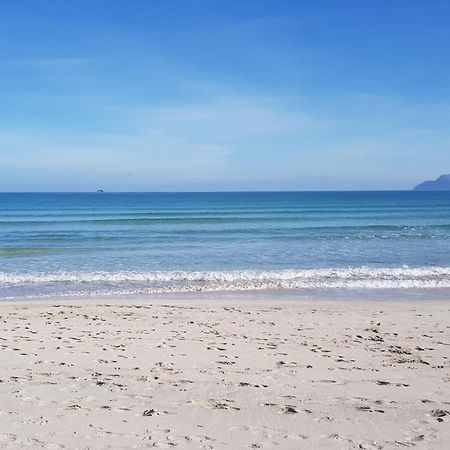 Ideal Property Mallorca - Barbera アルクディア エクステリア 写真